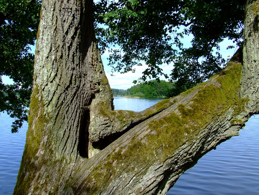 detail fotografie