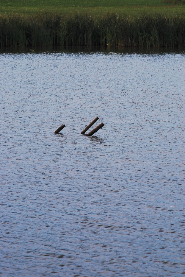 detail fotografie